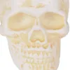 HUMAN SKULL CAST IRON PAPERWEIGHT