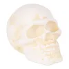 HUMAN SKULL CAST IRON PAPERWEIGHT